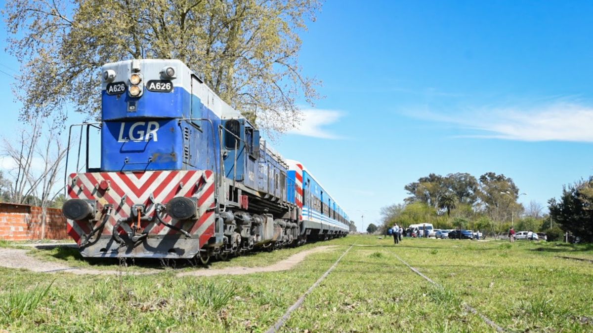 Tren Roca Otro Domingo Con Servicio Limitado En El Ramal La Plata