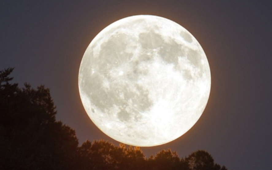 “Luna de Gusano”: enterate cómo y dónde se podrá ver la segunda superluna del año
