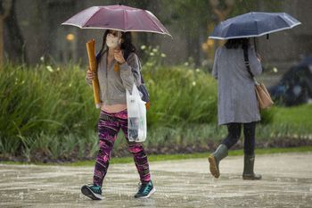 el clima: lluvia por la manana, ¿mejora para la tarde?