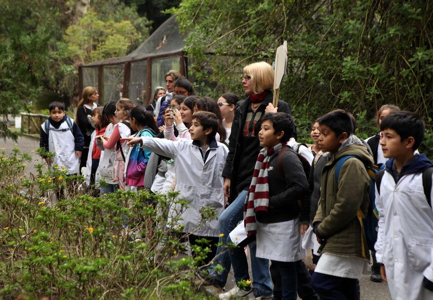 Más de 500 escuelas inscriptas para visitar al Bioparque: ¿cómo es el circuito?