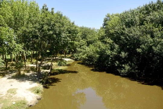 Tras los reclamos de los vecinos, el Municipio ratificó la ordenanza que protege la zona del arroyo El Pescado 