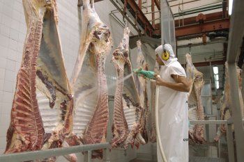 Frigoríficos municipales, la política de Axel Kicillof para abaratar el precio de la carne
