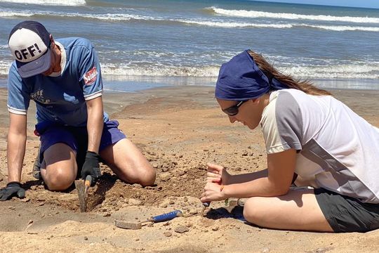 En Mar del Plata realizarán una salida abierta para reconocer fósiles en las playas.
