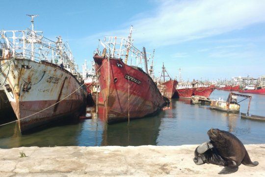 la muerte de un trabajador genero una protesta y el puerto se encuentra bloqueado