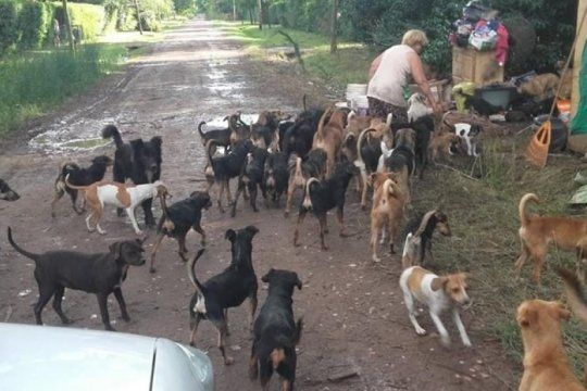 angustia en el pato: las desalojaron y quedaron en la calle con mas de 100 perros rescatados