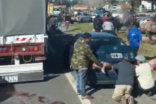 un camion con cerdos volco en la autovia 2 y decenas de personas los robaron y faenaron en plena ruta