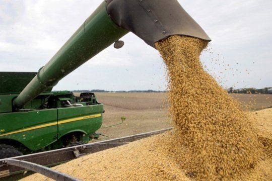 La soja contabilizará la peor producción en 23 años.
