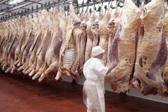 Ya rige la suspensión de exportaciones de carne por 30 días