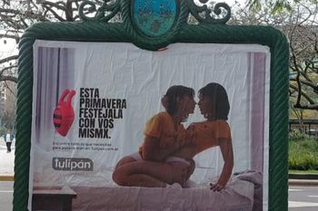 sin querer, una diputada viralizo publicidad de juguetes sexuales