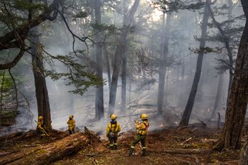 la provincia de buenos aires es una de las menos afectadas por los incendios