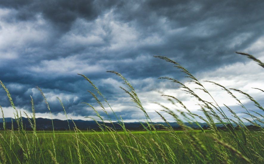 Alerta meteorológico por vientos intensos con ráfagas en el sudoeste bonaerense