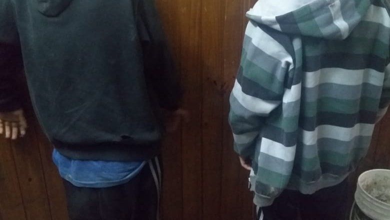 Detuvieron a cuatro jóvenes que robaron una colchonería y luego una cervecería en el centro de La Plata