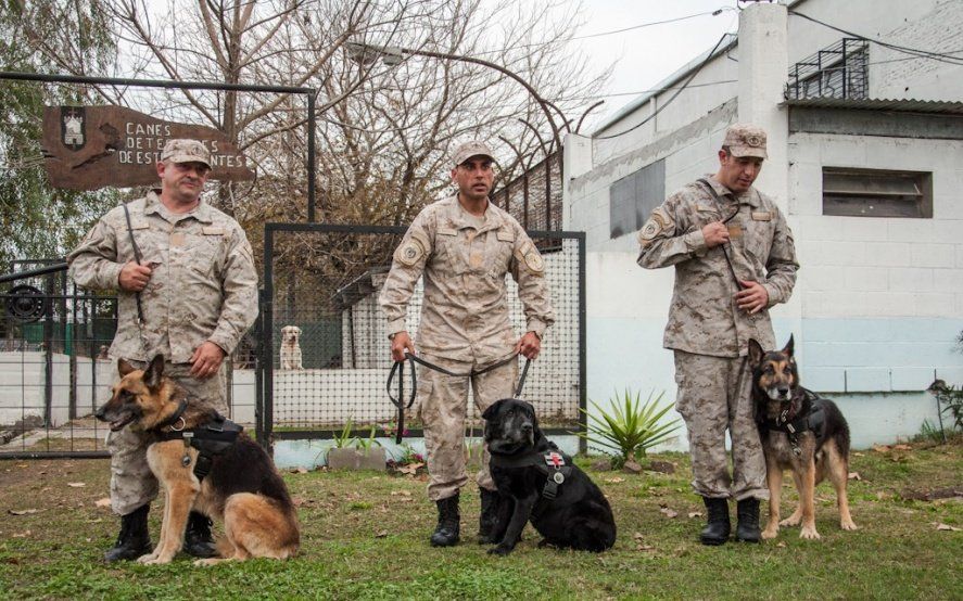 Pasaron a retiro a tres perros penitenciarios en la provincia de Buenos Aires