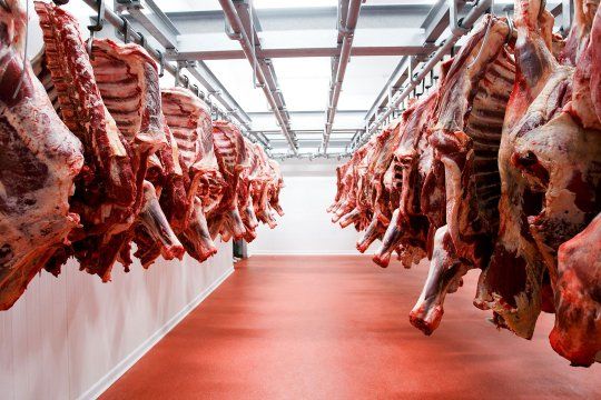 Carne: congelan el precio durante el fin de semana largo