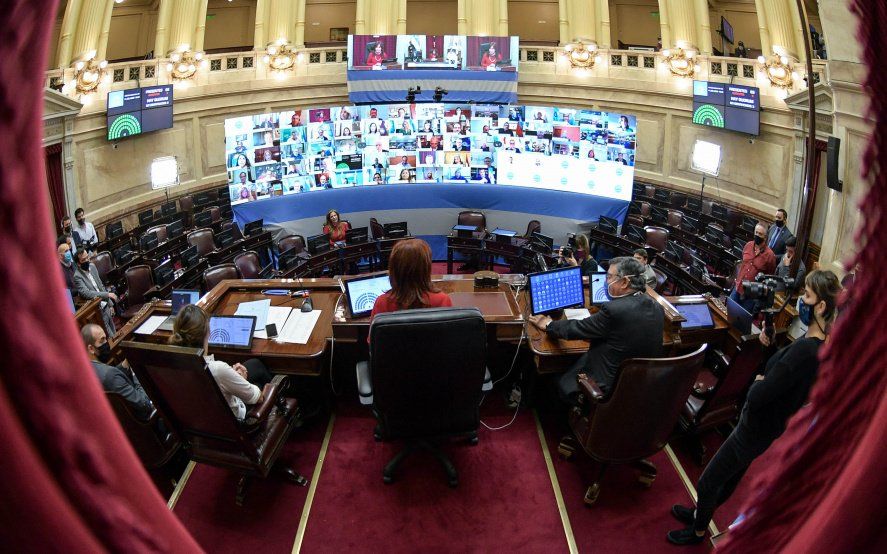 En su primera sesión virtual, el Senado aprobó 20 Decretos de Alberto Fernández