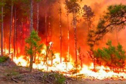 los 8 consejos para reducir los riesgos de un incendio forestal ante la llegada de altas temperaturas