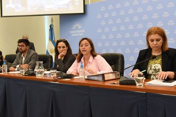 Cecilia Moreau preside la Comisión de Legislación General en Diputados
