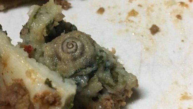 Grave: médicos del Hospital Penna denuncian que encontraron gusanos y un caracol en la comida