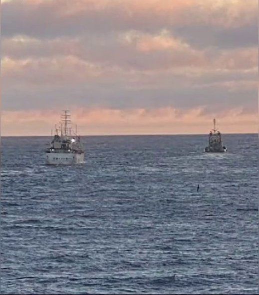 Mar Argentino: detectaron dos buques provenientes de las Islas Malvinas navegando sin autorización.
